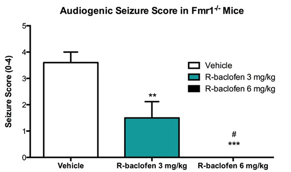 Audiogenic seizure score in Fmr1 KO mice is reduced with R-baclofen treatment.