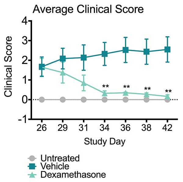 Average clinical score of untreated, vehicle-treated and dexamethosone-treated mice in a collagen-induced arthritis model.