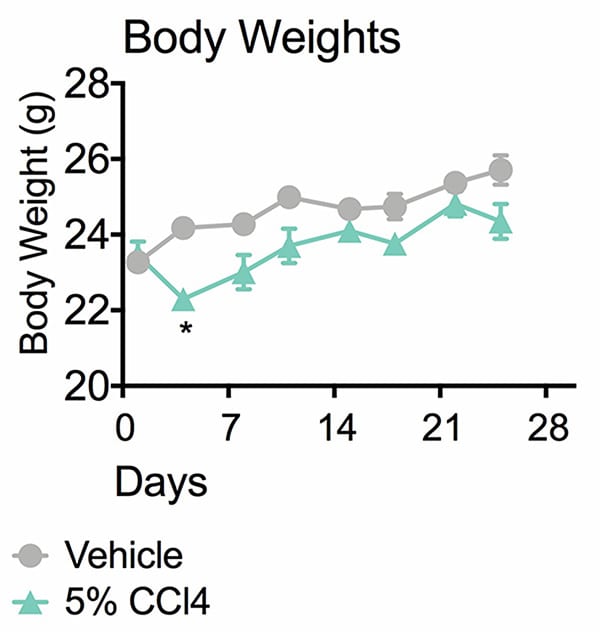 Graph showing drop in body weight in animals receiving 5% CCl4 from day 4