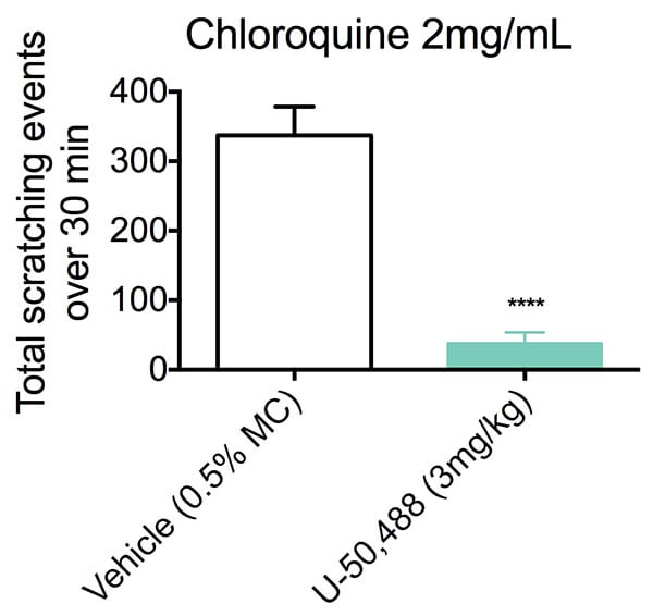 Total scratching events over 30 minutes following injection of therapeutic compound U-50,488 in a chloroquine-induced pruritus scratching model.