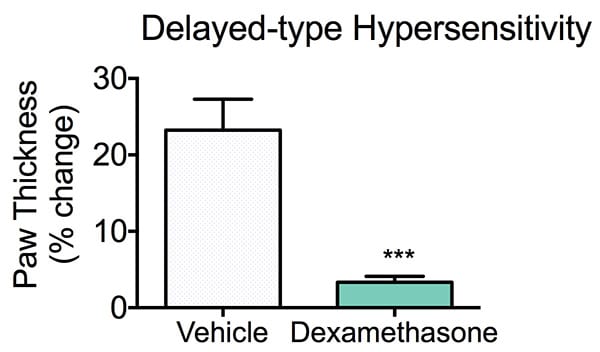 Percentage change in paw thickness following sheep red blood cell injection and treatment with dexamethosone or control.