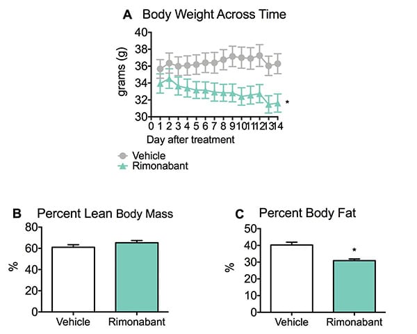 Body weight, percent lean body mass and percent body fat of mice fed a high-fat diet and treated with Rimonabant.