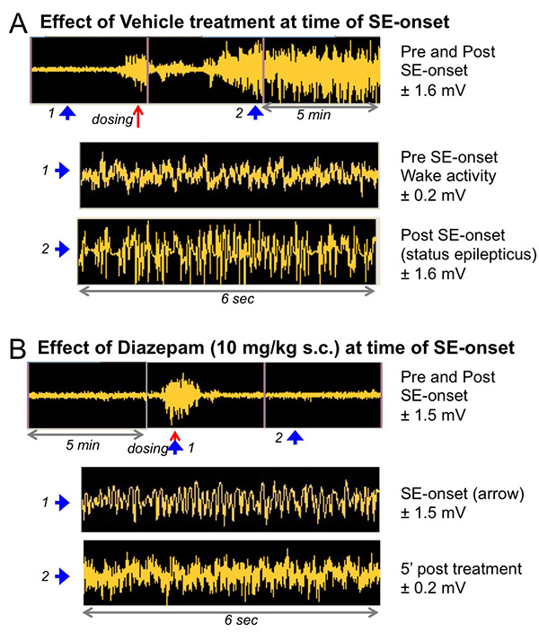 The effect diazepam on the mean integrated EEG power pre- and post- SE onset.