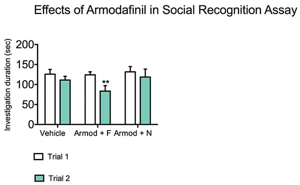 Armodafinil treated reduces investigation duration in response to a familiar rat during the social recognition test.