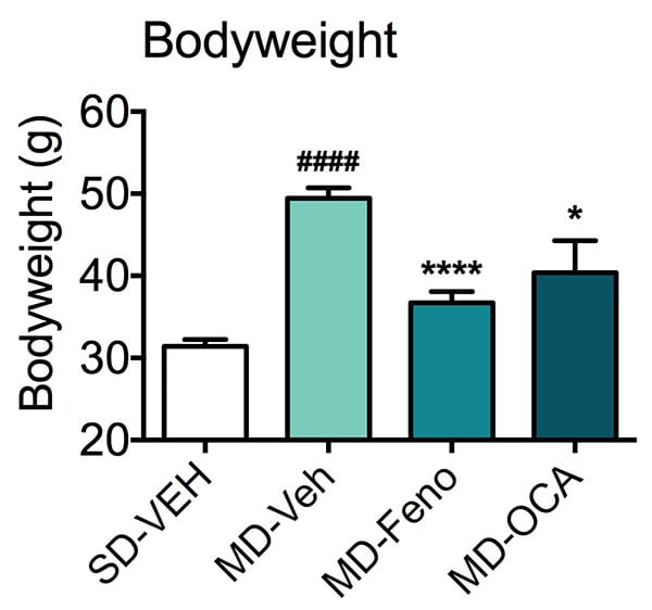 Body weight of mice fed a standard or modified diet and treated with fenofibrate or NASH candidate, obeticholic acid (OCA).