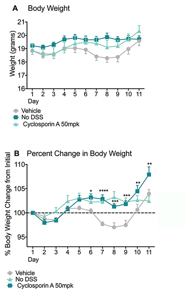 Graphs showing Body Weight and Percent Change in Body Weight in the DSS Models of Colitis