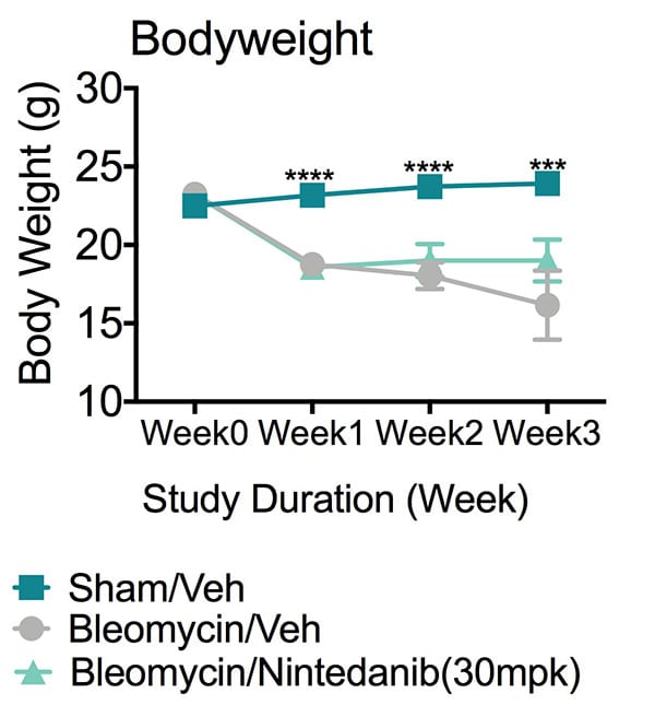 Graph of Body weight vs Study duration shows animals of Bleomycin/vehicle group showed significantly reduced body weights since week 1