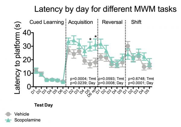 Latency to platform during cued learning, acquisition, reversal and shift phases of the morris water maze test.