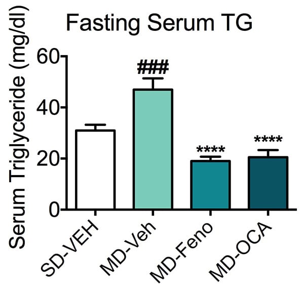 Concentration of serum trigylcerides in mice fed a standard or modified diet and treated with fenofibrate or NASH candidate, obeticholic acid (OCA).