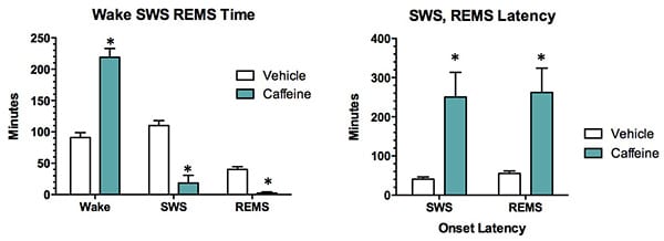 Caffeine increases the mean time spent awake and decreseas slow-wave sleep (SWS), and rapid-eye movement sleep (REMS).