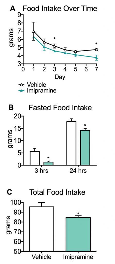 Food intake over time, fasted food intake and total food intake during treatment of Imipramine.