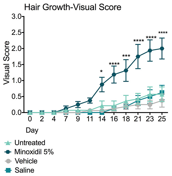 Visual hair growth score following treatment with Minoxidil 5% or vehicle control.