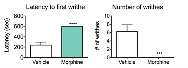 Data illustrating that this IBS model may be useful for identifying test agents that have therapeutic potential for treating abdominal discomfort