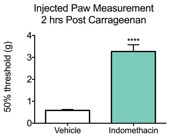 Injected Paw Measurement 2 Hrs Post Carrageenan