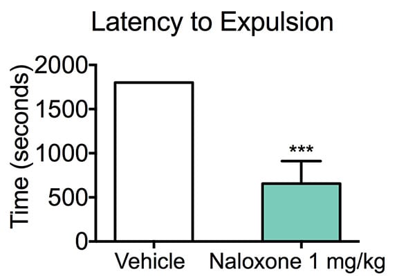 Mice treated with vehicle had a significantly increased expulsion time compared to Naloxone-treated mice