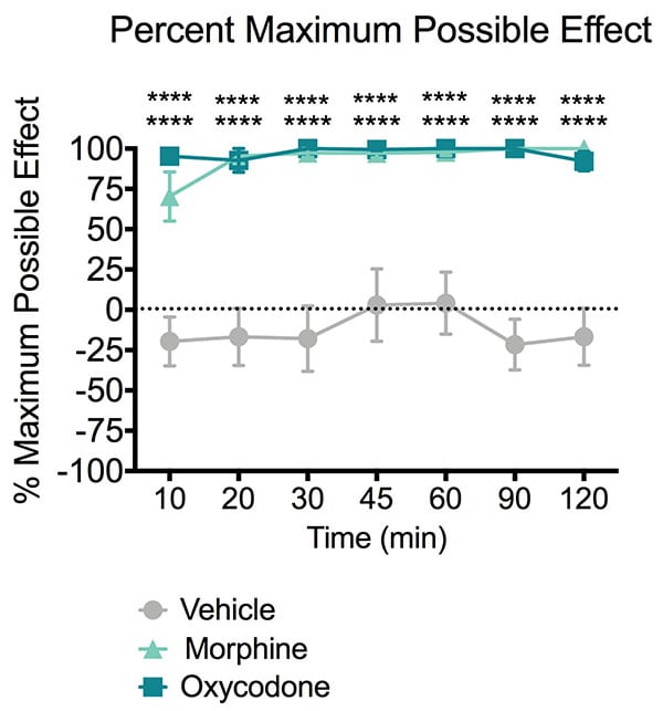 Tail withdraw latency of mice treated with morphine or oxycodone during the tail immersion test.