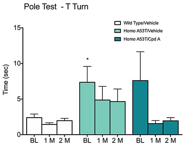 Time taken for Homozygous type A53T alpha-synuclein transgenic or wild-type mice to complete the pole test.