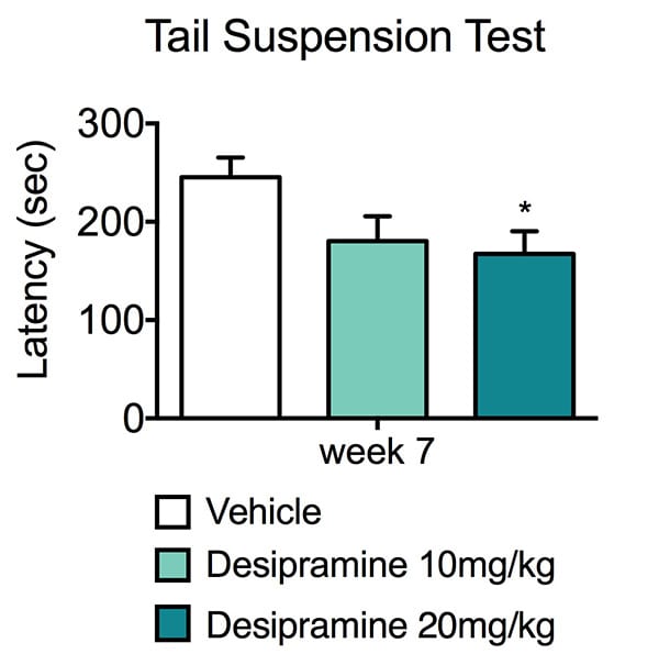 Latency until first extended immobility in vehicle and desipramine treated animals during the tail suspension test.