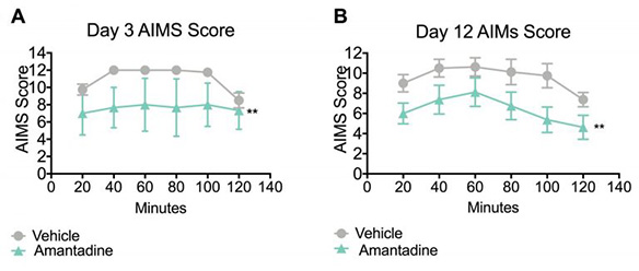 Abnormal involuntary score of amantadine treated rats on day 3 and day 12 in the L-DOPA induced dyskinesia model.