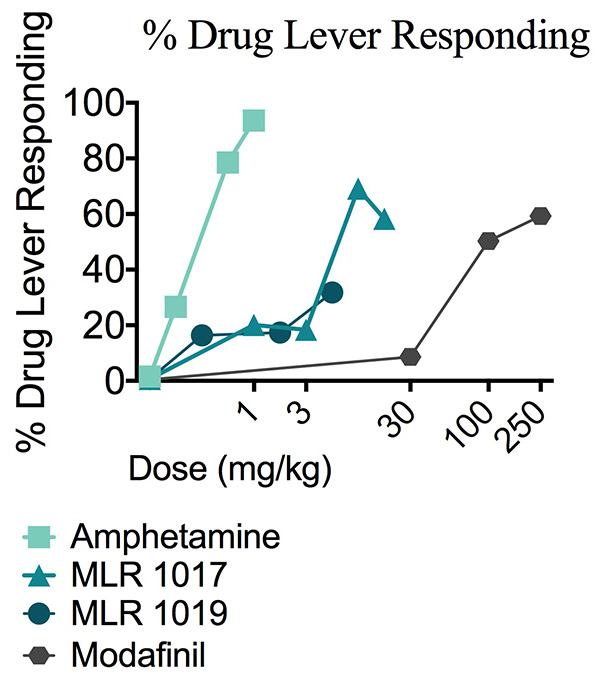 Percentage of drug lever responding animals to increasing doses of amphetamine, MLR-1017, MLR-1019 or Modafinil during a drug discrimination study.